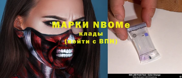 сатива Нягань